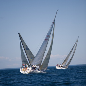 Regatta